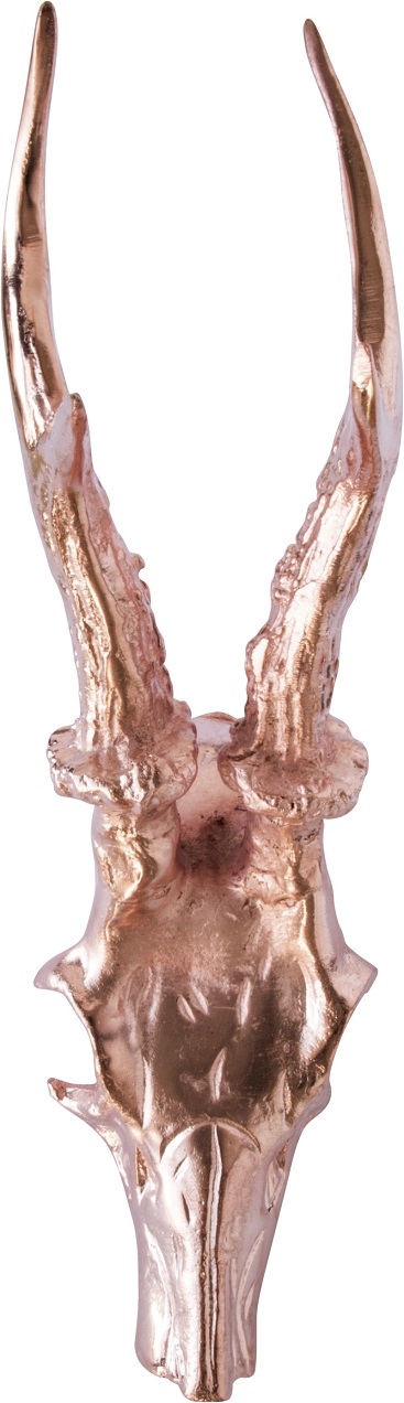Oh my deer - Skull head Bronze